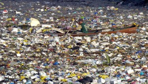 Garbage island is one of the top ten environmental disasters caused by humans