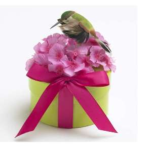 Amazing spring garden gifts are top on everyone's list