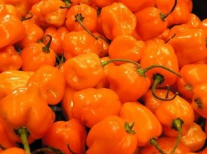 Too much habanero makes a hot backyard grilling disaster
