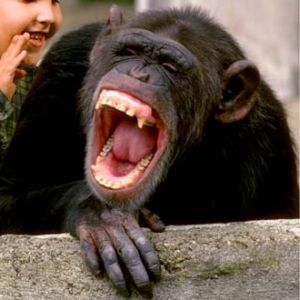 Laughter is at the top of the things that can cheer you up