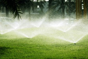 Less lawn sprinkling helps conserve water