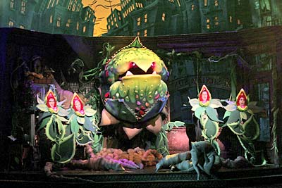 Little Shop of Horrors is one of the top ten high school musicals