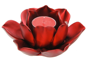 Surround yourself with the lotus flower is one of the top ten ways to center yourself