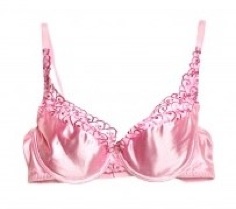 Parading a pink bra is a disaster at the backyard barbeque