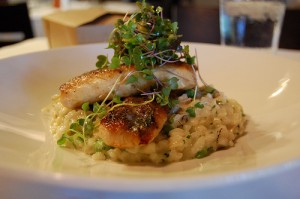 Risotto with truffles is an extravagant truffle recipe