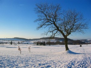 Snow is one of the top ten cool photos of the weather