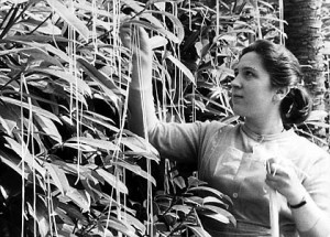 Italian spaghetti harvest was the top April Fools Day hoax