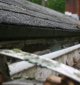 One of the top ten Spring home maintenance tips