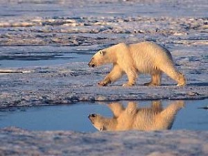 One of the top ten most pristine U.S. environments
