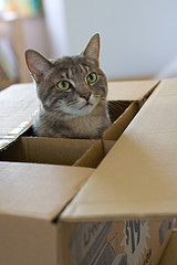 One of the top 10 moving checklist essentials