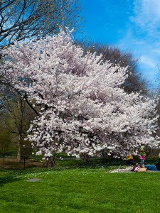 One of the top ten most romantic cities