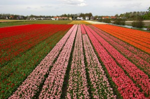 One of the top ten most romantic cities