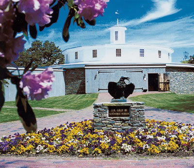 One of the top ten American folk art museums