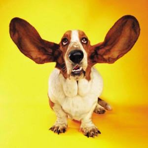 Active listening is one of the top ten tips for parenting a tween