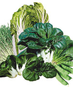 Seed collections are one of the top ten gifts for expert gardeners