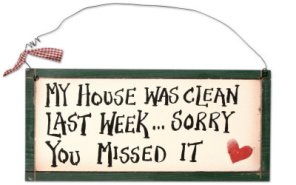 A list of the top ten house cleaning tips
