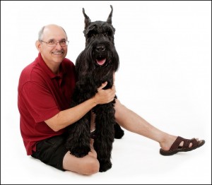 Giant Schnauzers are in the top ten large dog breeds