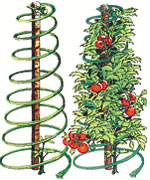Veggie cages are one of the top ten expert gardener gifts