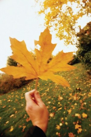 A list of the top ten ways to get in touch with nature