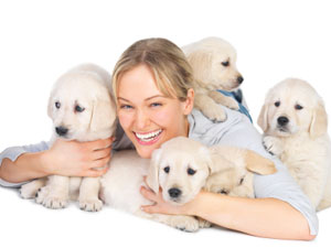 One of the top ten traveling with your dog tips