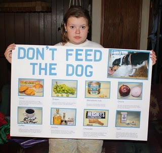 One of the top ten traveling with your dog tips
