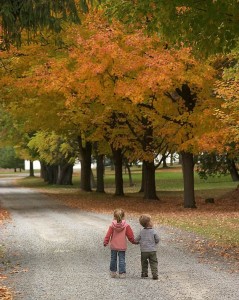 One of the top ten ways to walk for miles