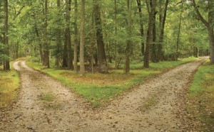 One of the top ten ways to walk for miles