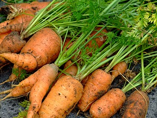 A list of the top ten easy to grow seeds