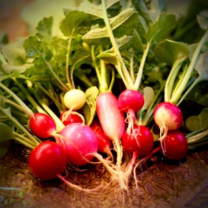 A list of the top ten easy to grow seeds