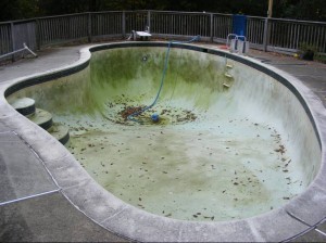 One of the top ten home swimming pool problems