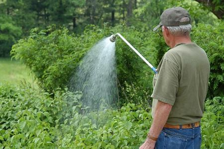 One of the top 10 pointers on how to vegetable garden