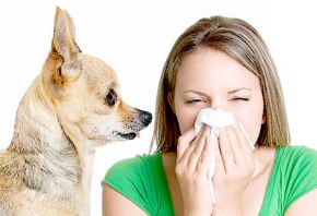 Best of products to get rid of allergies