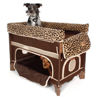 One of the best of places to shop for a spoiled dog