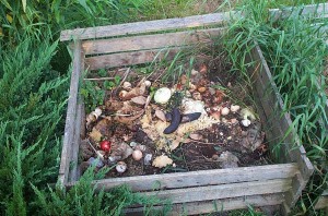 One of the top 10 pointers on how to vegetable garden