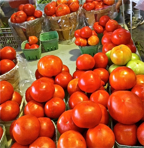 One of the top 10 pointers on how to vegetable garden