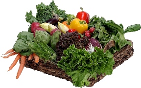 One of the top ten pointers for vegetable gardening