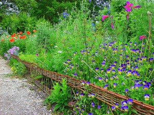 A list of the top ten ways to create a learning garden