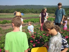 A list of the top ten ways to create a learning garden