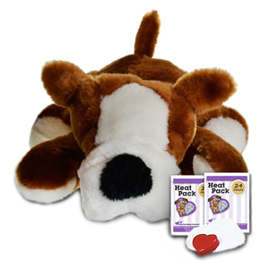 Dog toy and treats