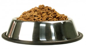One of the best of dog and cat foods