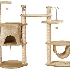 One of the best of interactive cat toys