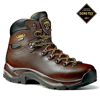 One of the best of weekend warrior sports gear