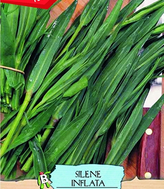 One of the best of buying seeds online