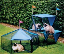 One of the best of cat owners catalogs