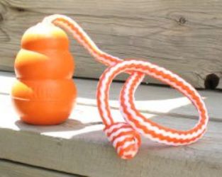 One of the best of outdoor dog toys