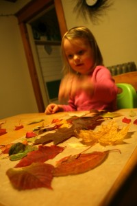 One of the top ten crafts for toddlers