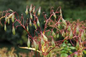 A list of the top ten planting seeds tips