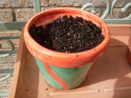 A list of the top ten planting seeds tips