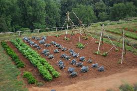 A list of the top ten planting seeds tips