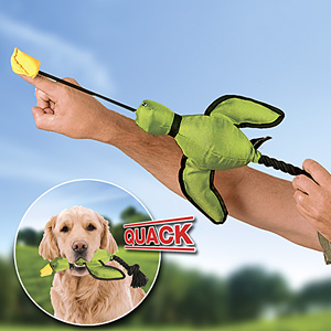 One of the best of outdoor dog toys